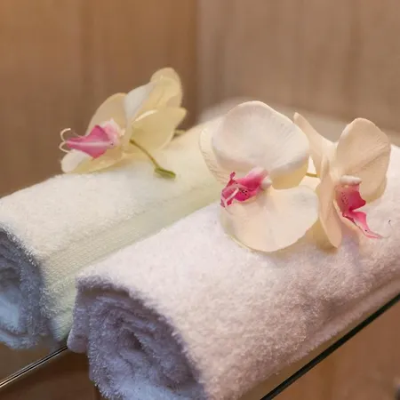 Erna Daire Dubrovnik